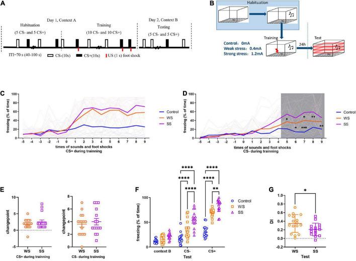 https://cdn.ncbi.nlm.nih.gov/pmc/blobs/4584/9986332/a1adc00f809c/fnbeh-17-1072642-g001.jpg