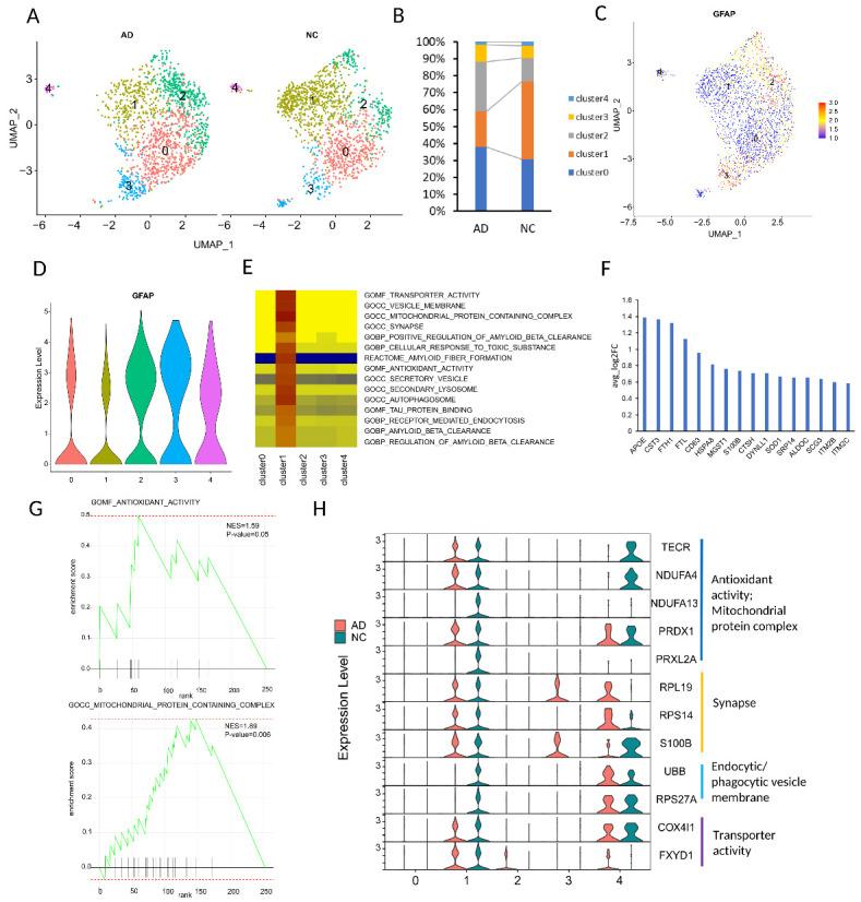 https://cdn.ncbi.nlm.nih.gov/pmc/blobs/4585/11567244/6931cb6930e1/AD-15-6-2752-g2.jpg