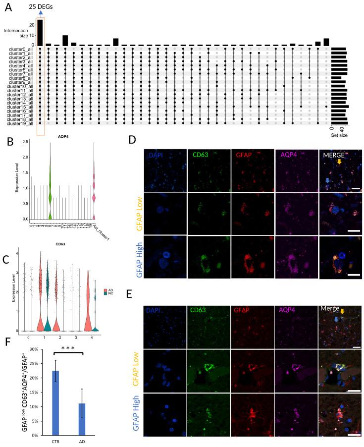 https://cdn.ncbi.nlm.nih.gov/pmc/blobs/4585/11567244/8245b3c15883/AD-15-6-2752-g4.jpg