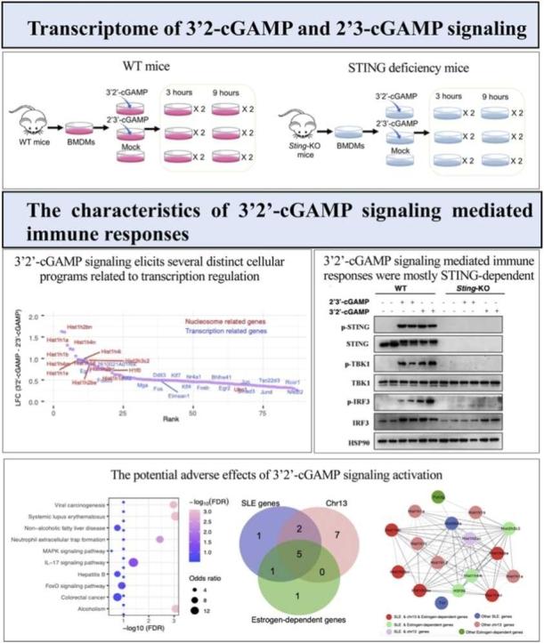 https://cdn.ncbi.nlm.nih.gov/pmc/blobs/4585/11615530/9ea77447960a/ga1.jpg