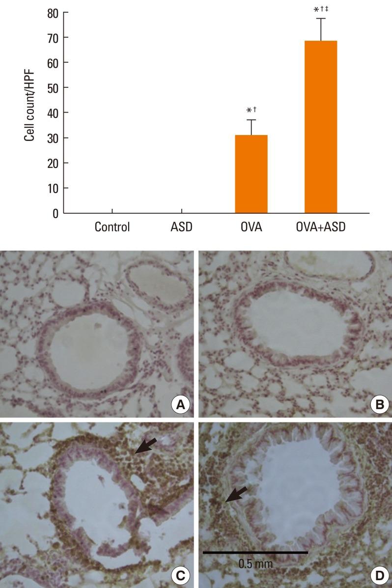 https://cdn.ncbi.nlm.nih.gov/pmc/blobs/4585/3378927/2f8ddb9b074c/aair-4-206-g006.jpg