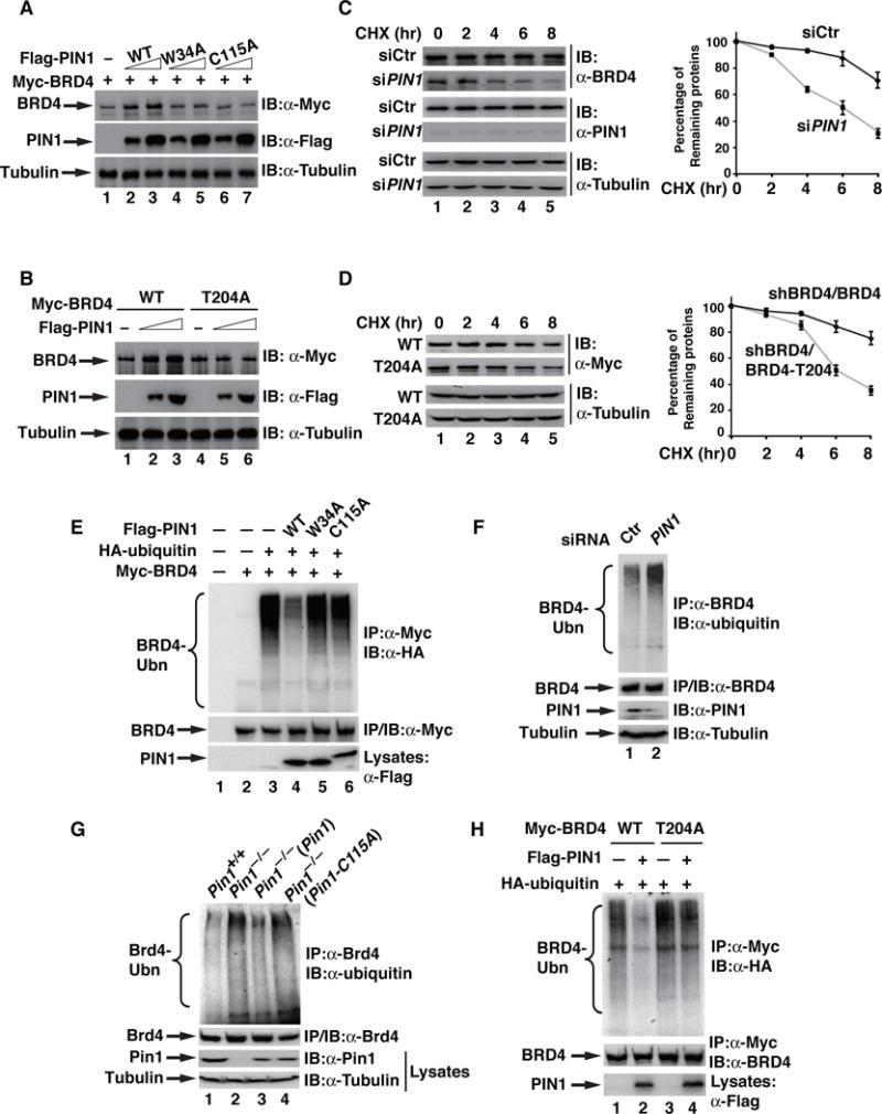 https://cdn.ncbi.nlm.nih.gov/pmc/blobs/4586/5589477/f249c529eb45/nihms866198f4.jpg