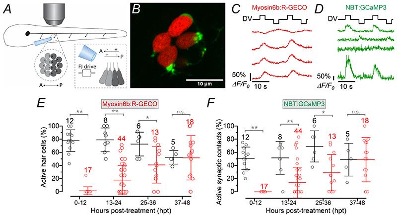 https://cdn.ncbi.nlm.nih.gov/pmc/blobs/4586/7612129/0e040402b0df/EMS140583-f005.jpg