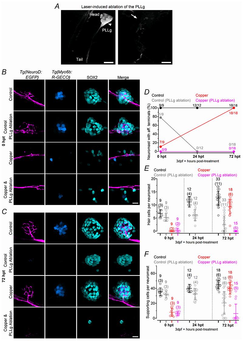 https://cdn.ncbi.nlm.nih.gov/pmc/blobs/4586/7612129/17dcc0eb9ba9/EMS140583-f013.jpg