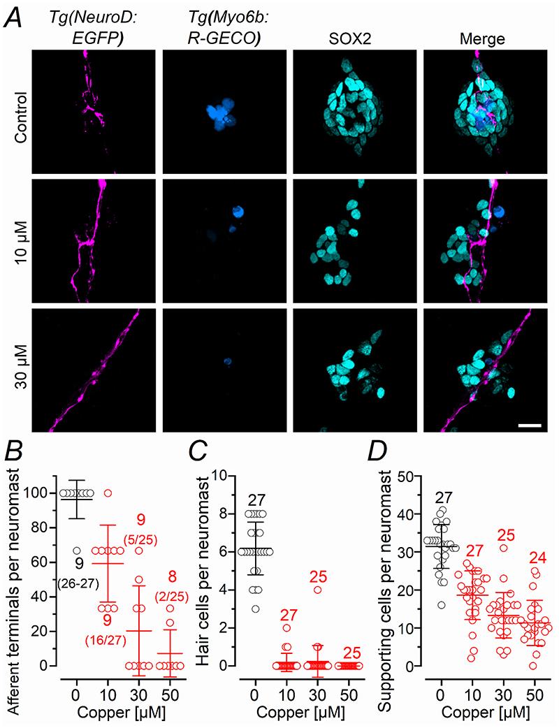 https://cdn.ncbi.nlm.nih.gov/pmc/blobs/4586/7612129/475786a6cae8/EMS140583-f010.jpg