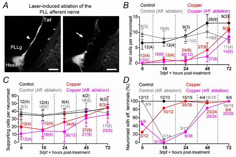 https://cdn.ncbi.nlm.nih.gov/pmc/blobs/4586/7612129/7185d46e02c3/EMS140583-f012.jpg