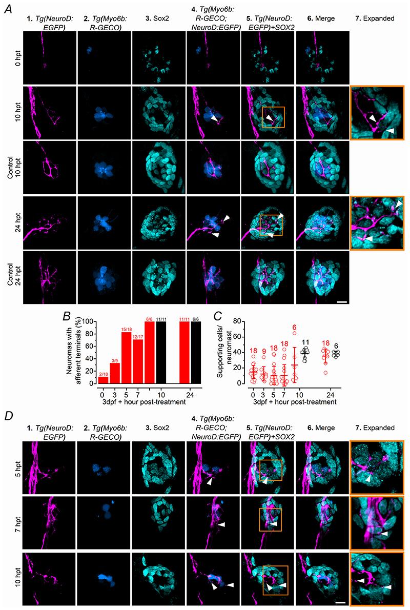 https://cdn.ncbi.nlm.nih.gov/pmc/blobs/4586/7612129/8212337497f9/EMS140583-f011.jpg