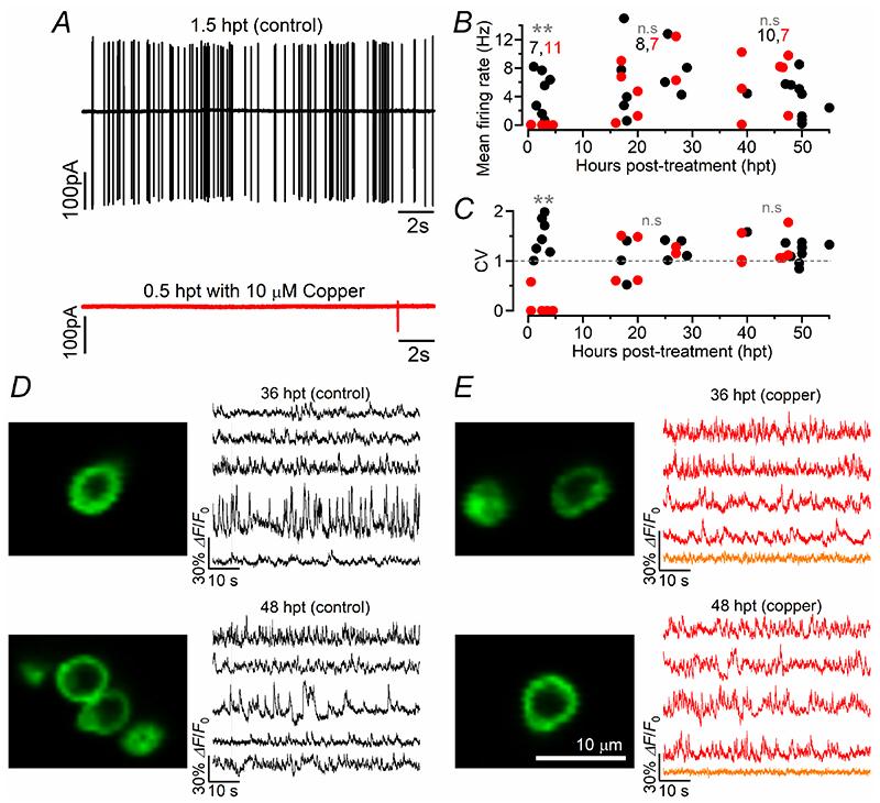 https://cdn.ncbi.nlm.nih.gov/pmc/blobs/4586/7612129/84f9bc3778ba/EMS140583-f003.jpg