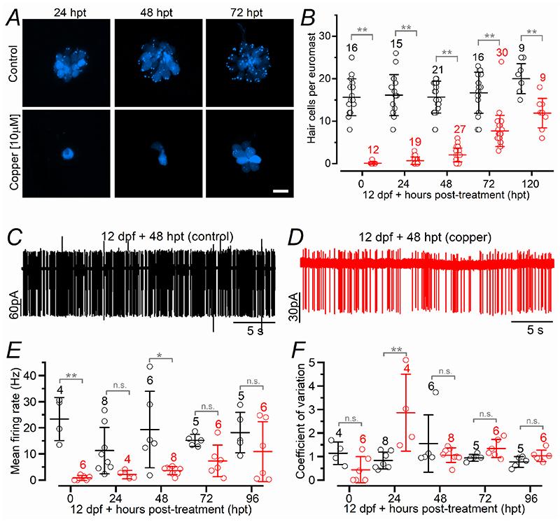 https://cdn.ncbi.nlm.nih.gov/pmc/blobs/4586/7612129/872d737ae5cd/EMS140583-f007.jpg