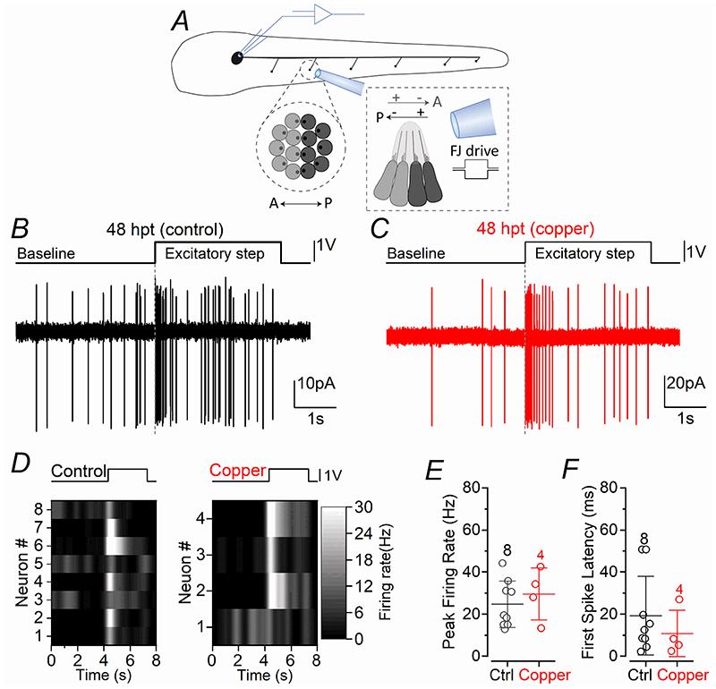 https://cdn.ncbi.nlm.nih.gov/pmc/blobs/4586/7612129/c217492c89cb/EMS140583-f004.jpg