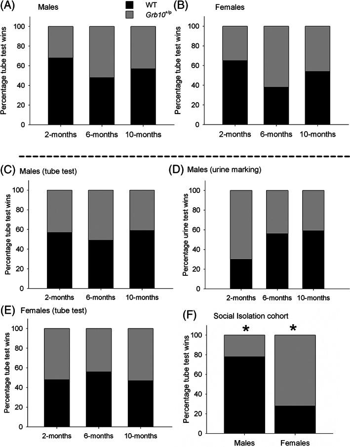 https://cdn.ncbi.nlm.nih.gov/pmc/blobs/4588/7050506/4cd1ff9c62f5/GBB-19-e12571-g003.jpg
