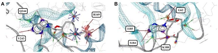 https://cdn.ncbi.nlm.nih.gov/pmc/blobs/4589/5880911/707de19318ed/fchem-06-00068-g0010.jpg
