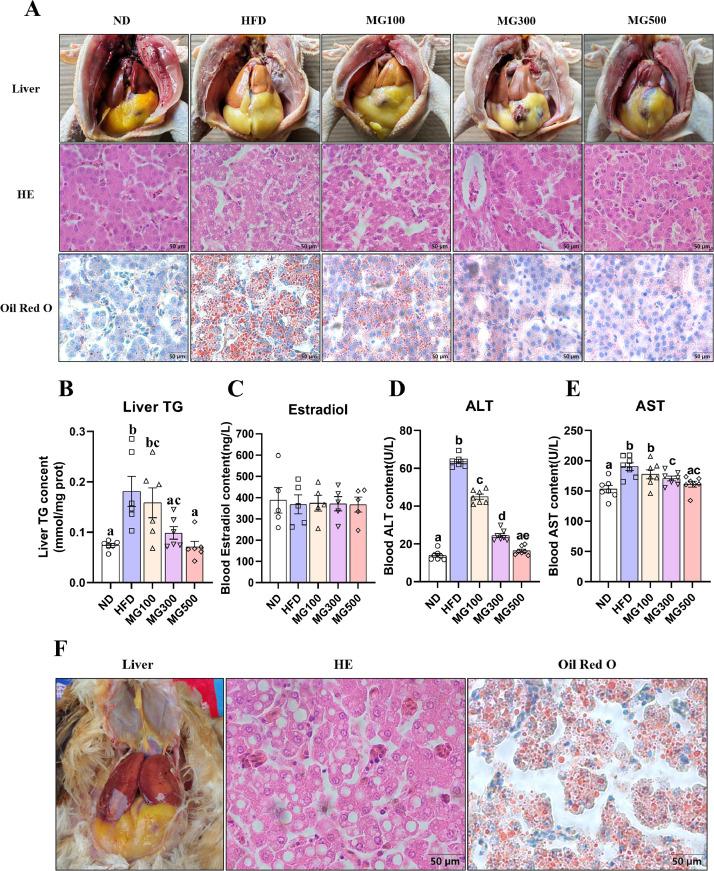 https://cdn.ncbi.nlm.nih.gov/pmc/blobs/458b/10823128/0d5cbb741867/gr3.jpg