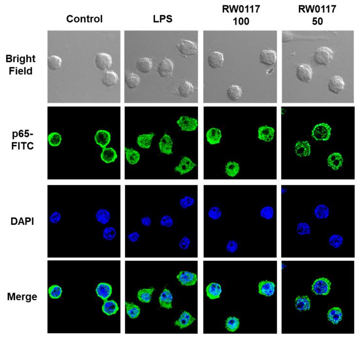 https://cdn.ncbi.nlm.nih.gov/pmc/blobs/458c/7914715/96758a35d635/plants-10-00332-g006.jpg