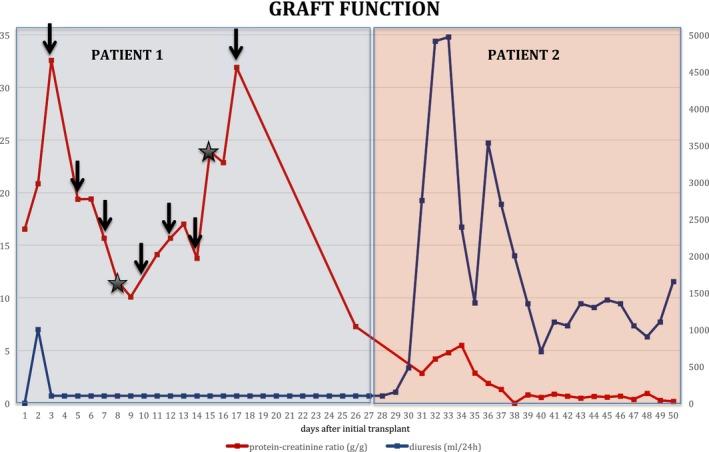 https://cdn.ncbi.nlm.nih.gov/pmc/blobs/458f/6220932/ececd53493de/AJT-18-2818-g002.jpg