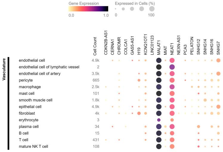 https://cdn.ncbi.nlm.nih.gov/pmc/blobs/4592/10378138/16c2fa570226/cells-12-01832-g003.jpg