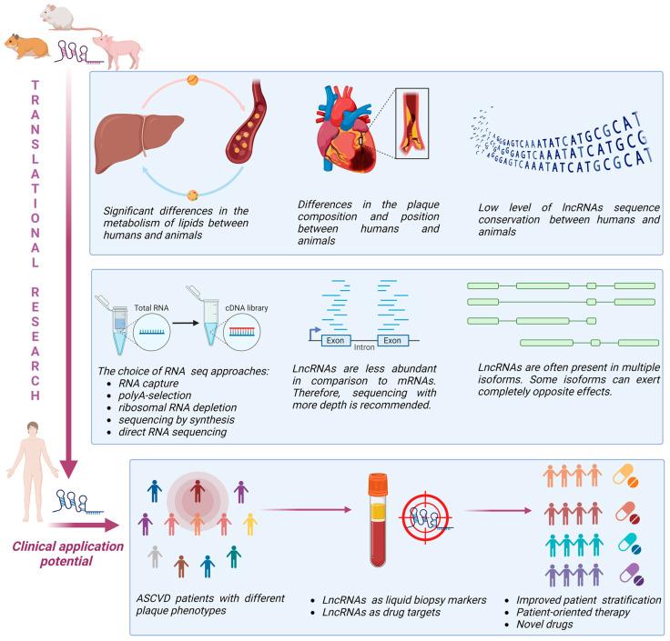 https://cdn.ncbi.nlm.nih.gov/pmc/blobs/4592/10378138/8d6b5355313a/cells-12-01832-g002.jpg