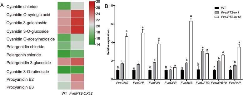 https://cdn.ncbi.nlm.nih.gov/pmc/blobs/4592/12268167/896d4d86181f/uhaf130f4.jpg