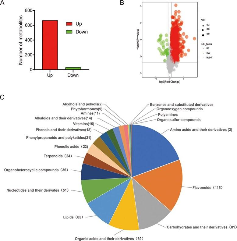 https://cdn.ncbi.nlm.nih.gov/pmc/blobs/4592/12268167/aee68cd29d6b/uhaf130f3.jpg