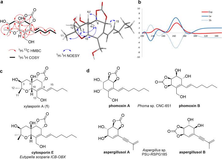 https://cdn.ncbi.nlm.nih.gov/pmc/blobs/4593/11161606/8bab435e605a/42004_2024_1210_Fig3_HTML.jpg