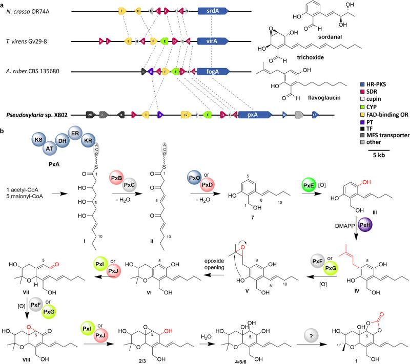 https://cdn.ncbi.nlm.nih.gov/pmc/blobs/4593/11161606/9fb67edfaef2/42004_2024_1210_Fig7_HTML.jpg