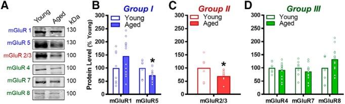https://cdn.ncbi.nlm.nih.gov/pmc/blobs/4593/6026020/faf56896bdca/enu0031826530002.jpg