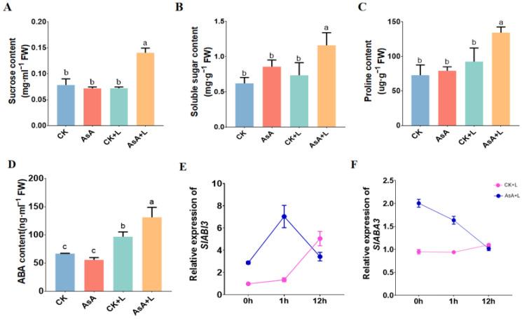 https://cdn.ncbi.nlm.nih.gov/pmc/blobs/4594/11432314/e9c6e9dff89e/ijms-25-10093-g005.jpg