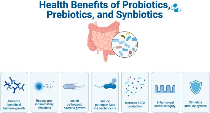 https://cdn.ncbi.nlm.nih.gov/pmc/blobs/4595/12341999/a3859ecf59ff/fsysb-05-1561047-g001.jpg