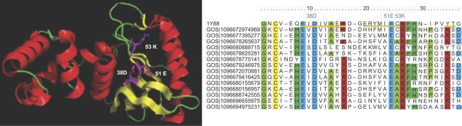 https://cdn.ncbi.nlm.nih.gov/pmc/blobs/4597/1821046/b796e639a5fe/pbio.0050016.g010.jpg