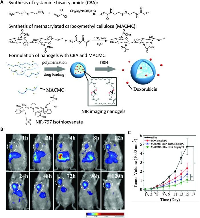 https://cdn.ncbi.nlm.nih.gov/pmc/blobs/4597/4906372/7dc6ee0d0c91/c5mh00161g-f6.jpg