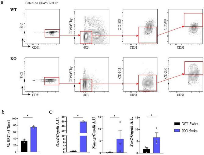 https://cdn.ncbi.nlm.nih.gov/pmc/blobs/4599/11227705/1a2a7ca5bd32/13287_2024_3803_Fig5_HTML.jpg