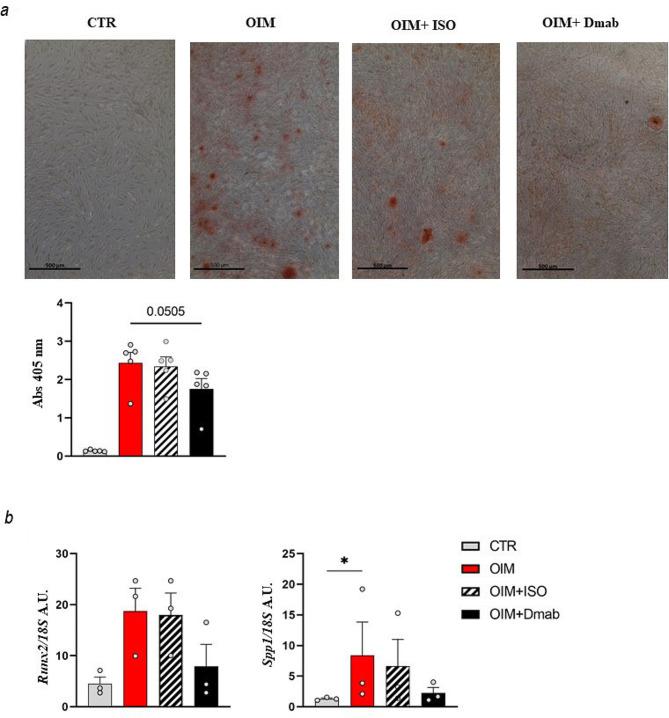 https://cdn.ncbi.nlm.nih.gov/pmc/blobs/4599/11227705/6728c1a3a275/13287_2024_3803_Fig6_HTML.jpg