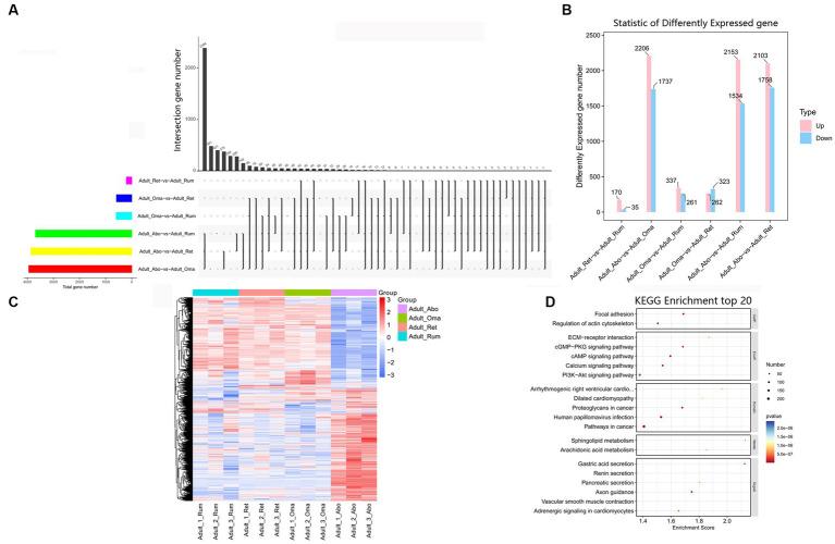 https://cdn.ncbi.nlm.nih.gov/pmc/blobs/459a/10556492/d328a52a542b/fvets-10-1204706-g006.jpg