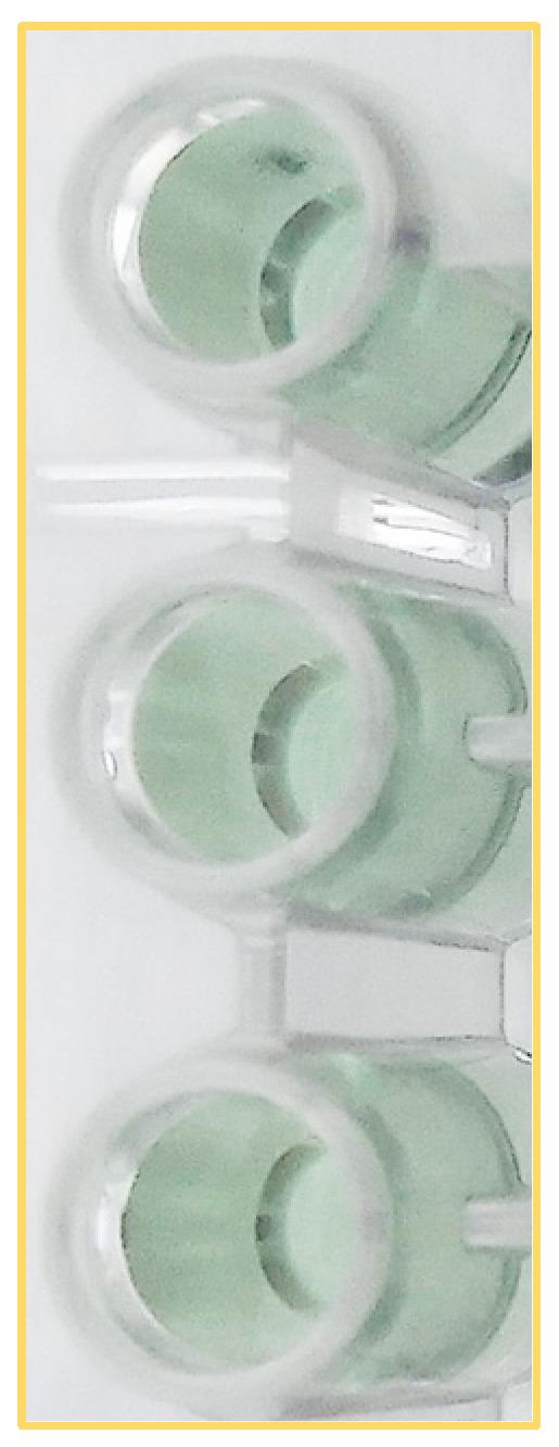 https://cdn.ncbi.nlm.nih.gov/pmc/blobs/459a/11048622/ba82228aa219/bioengineering-11-00387-g005.jpg