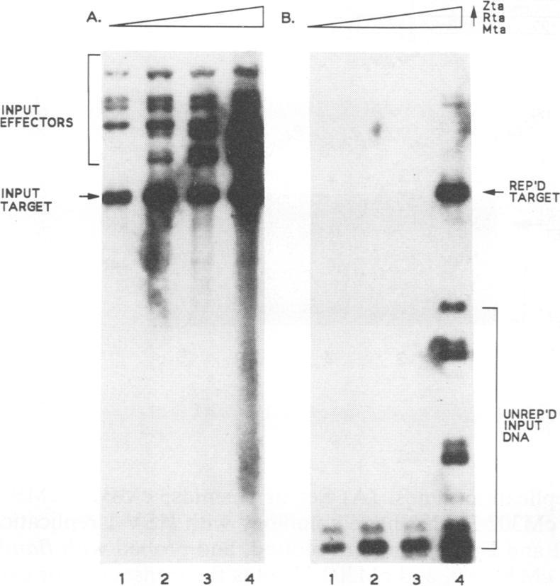 https://cdn.ncbi.nlm.nih.gov/pmc/blobs/459a/241360/1c384512c98e/jvirol00040-0419-a.jpg