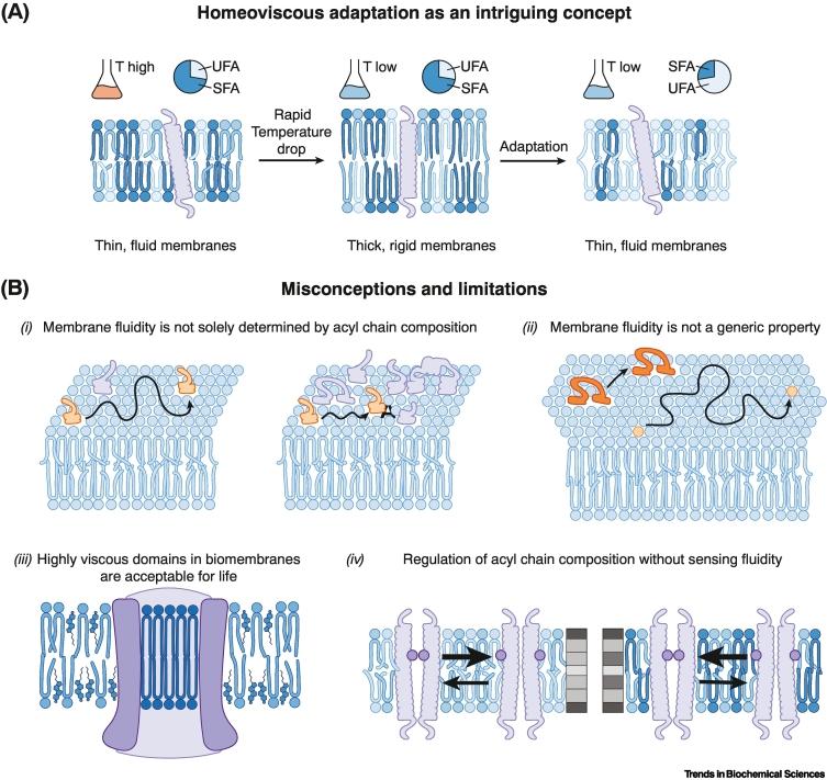 https://cdn.ncbi.nlm.nih.gov/pmc/blobs/459e/10580326/25f6e4c3ec1b/gr2.jpg