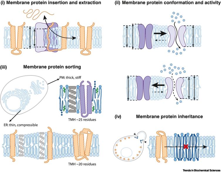 https://cdn.ncbi.nlm.nih.gov/pmc/blobs/459e/10580326/e53ec5ef2b30/gr3.jpg