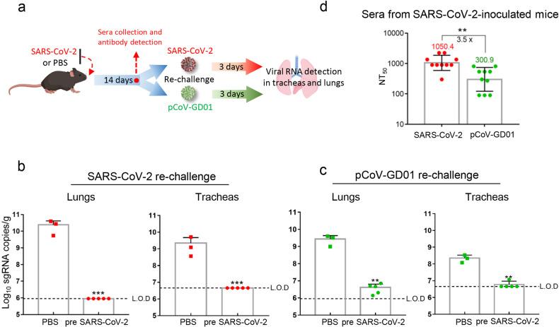 https://cdn.ncbi.nlm.nih.gov/pmc/blobs/459f/10276878/d2afc3b8fd38/41421_2023_557_Fig4_HTML.jpg