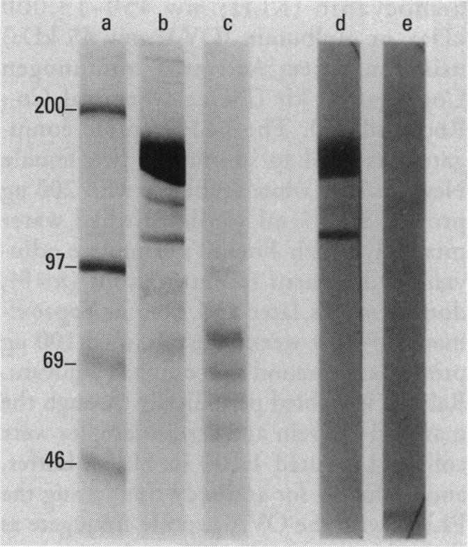 https://cdn.ncbi.nlm.nih.gov/pmc/blobs/459f/1518877/11de3939c434/envhper00367-0020-b.jpg