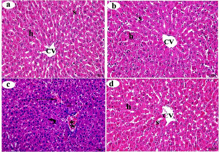 https://cdn.ncbi.nlm.nih.gov/pmc/blobs/45a1/12186331/3225196c8358/40360_2025_953_Fig1_HTML.jpg