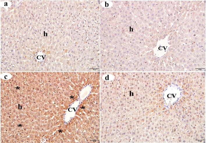https://cdn.ncbi.nlm.nih.gov/pmc/blobs/45a1/12186331/e871042fd8c8/40360_2025_953_Fig4_HTML.jpg