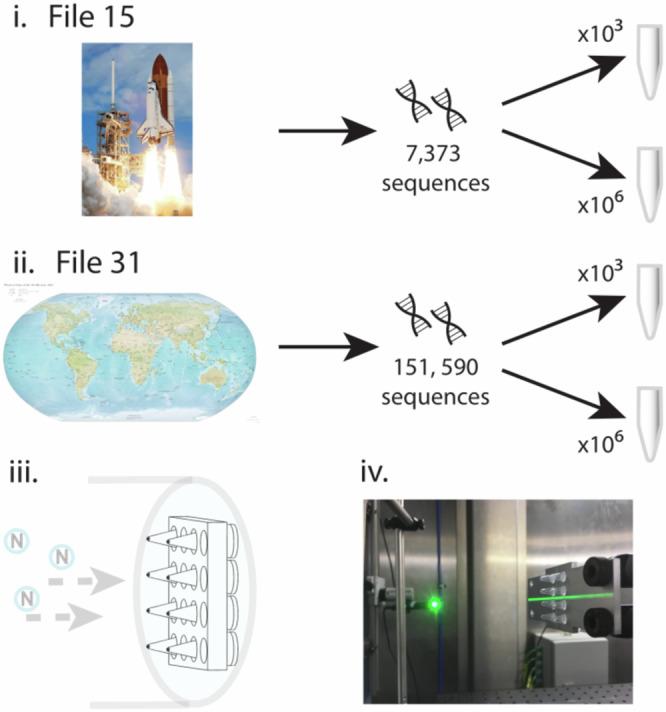 https://cdn.ncbi.nlm.nih.gov/pmc/blobs/45a2/11401870/13d5043bc4e2/41467_2024_51768_Fig4_HTML.jpg