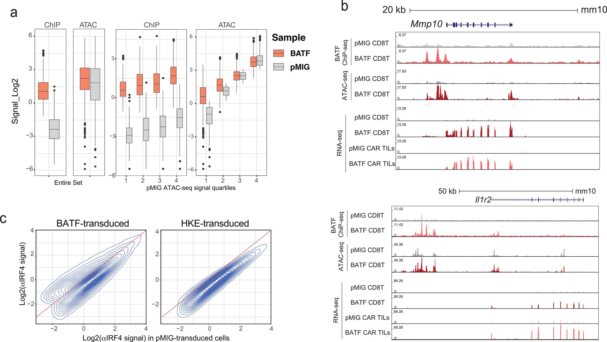 https://cdn.ncbi.nlm.nih.gov/pmc/blobs/45a2/8319109/044edc0f4117/nihms-1707113-f0007.jpg