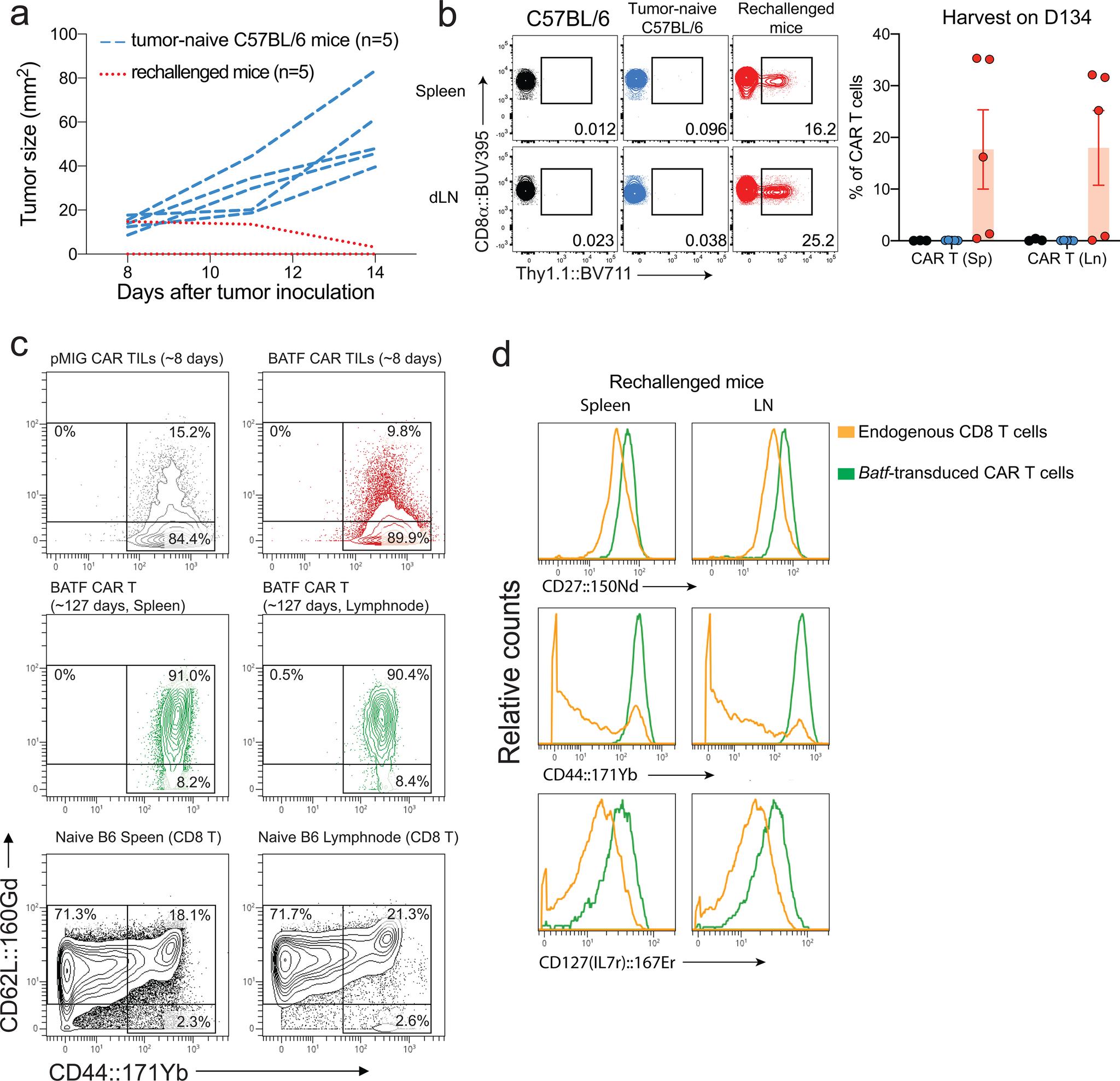 https://cdn.ncbi.nlm.nih.gov/pmc/blobs/45a2/8319109/5e8b9791570e/nihms-1707113-f0003.jpg