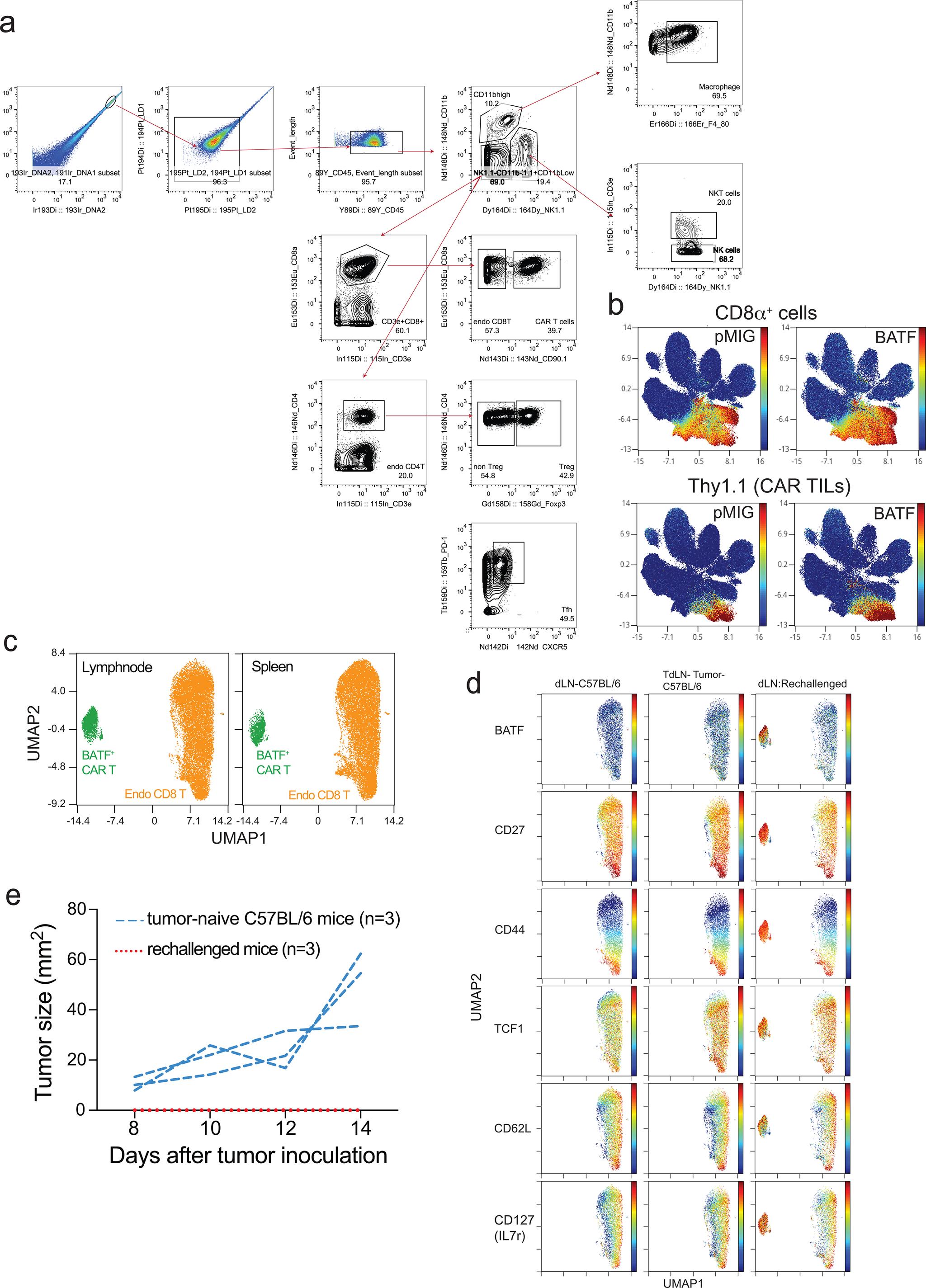 https://cdn.ncbi.nlm.nih.gov/pmc/blobs/45a2/8319109/d50e3facab0f/nihms-1707113-f0011.jpg
