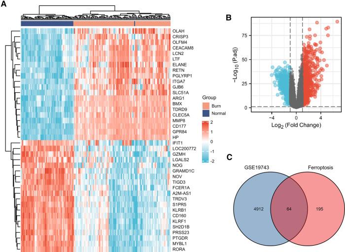 https://cdn.ncbi.nlm.nih.gov/pmc/blobs/45a3/9869674/df3cab34ac0d/fsurg-09-1060036-g001.jpg