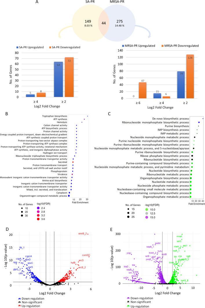 https://cdn.ncbi.nlm.nih.gov/pmc/blobs/45a6/12323363/15ea23691b63/spectrum.02974-24.f002.jpg
