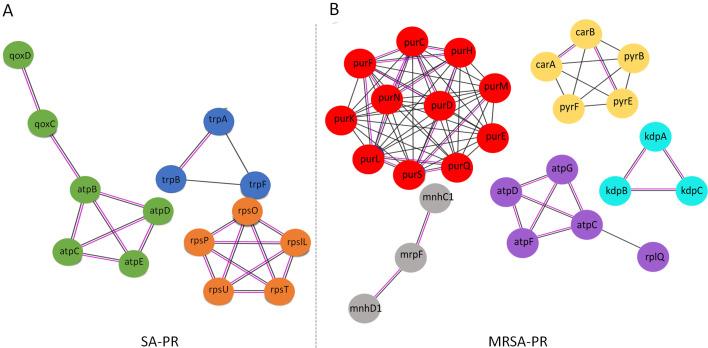 https://cdn.ncbi.nlm.nih.gov/pmc/blobs/45a6/12323363/2122f90c49ba/spectrum.02974-24.f004.jpg