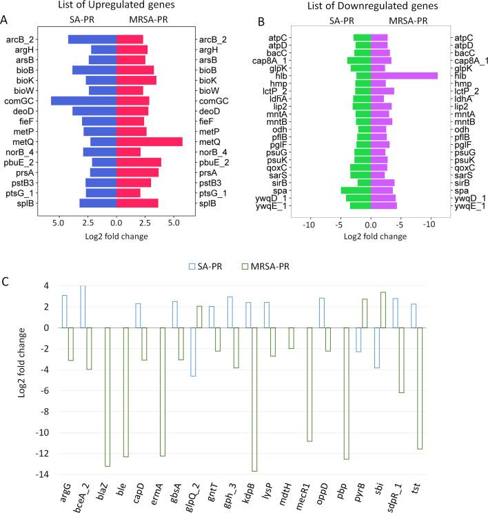 https://cdn.ncbi.nlm.nih.gov/pmc/blobs/45a6/12323363/964044ed5663/spectrum.02974-24.f003.jpg