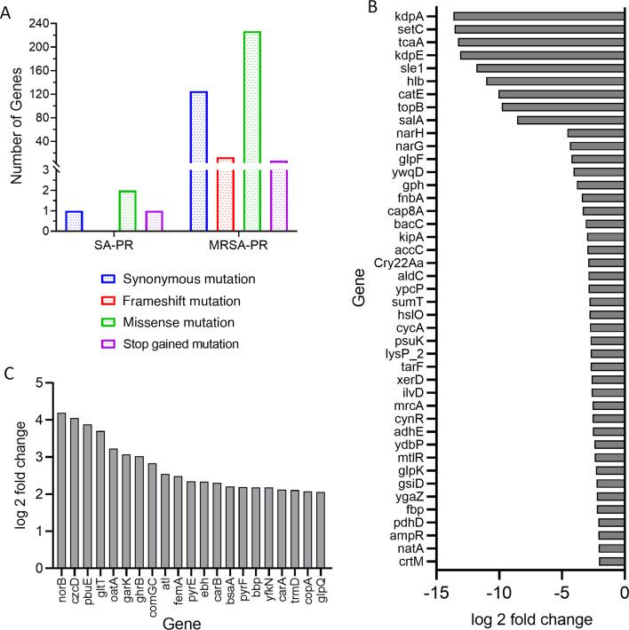 https://cdn.ncbi.nlm.nih.gov/pmc/blobs/45a6/12323363/ca987db63a15/spectrum.02974-24.f005.jpg